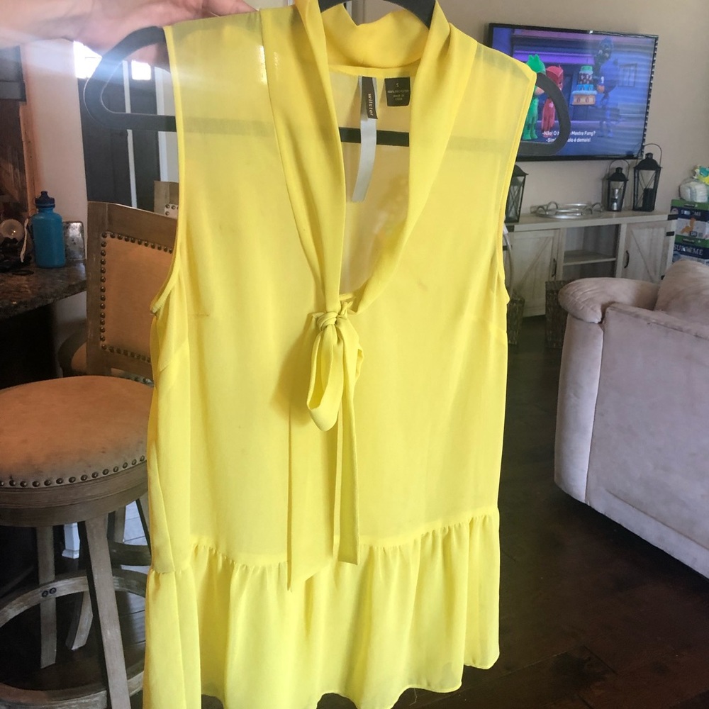 Wilster sheer blouse